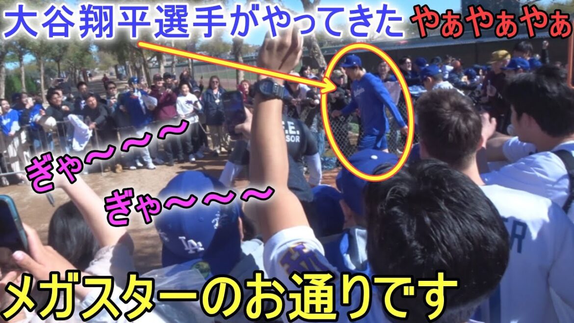 Shohei Ohtani signs autographs for Dodgers fans Shohei Ohtani 2024 Spring Training