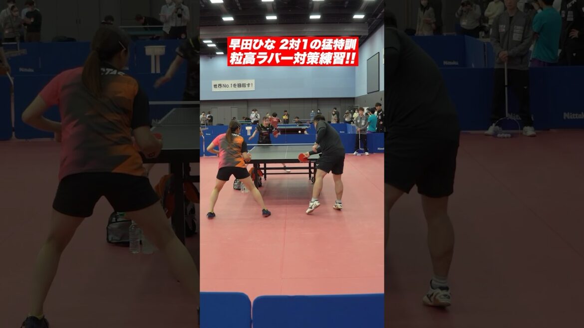 Hina Hayata 2-on-1 special training for the match with Grain High Penholder! #Shorts Hina Hayata 2-on-1 special training for the match with Grain High Penholder! #Shorts