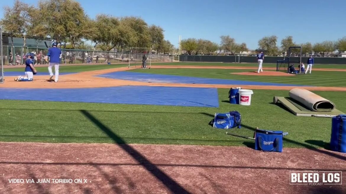WATCH: Shohei Ohtani first LIVE BP and he hits a Home Run WATCH: Shohei Ohtani first LIVE BP and he hits a Home Run