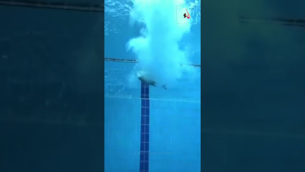 Elena Bertocchi |  Italian Diving Champion