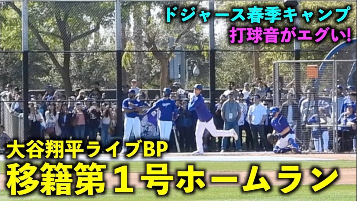 The hitting sound is too harsh! Shohei Otani transfer's first home run on live BP![Local footage]Dodgers Spring Training 2024[Spring Training]