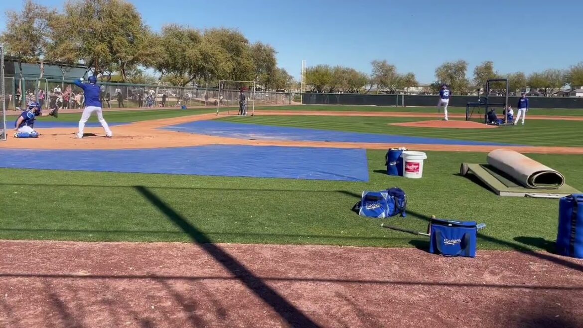 Shohei Ohtani vs. Blake Treinen in live batting practice!