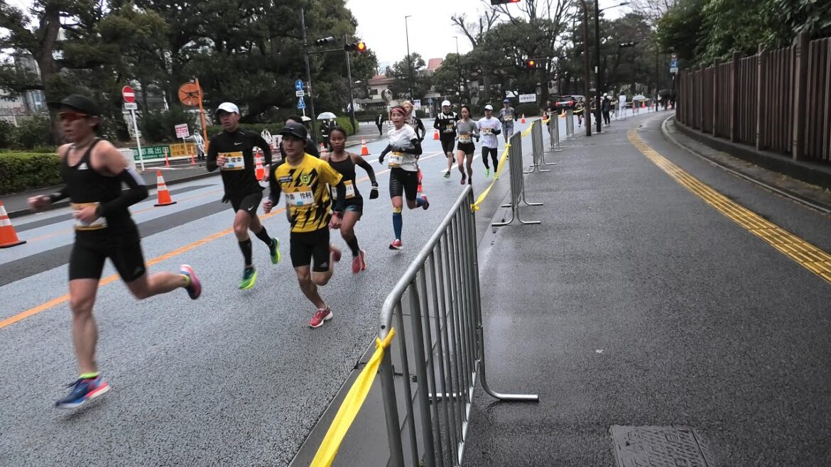 [ADIDAS TOKYO CITY RUN]Officially recognized by the Athletics Federation (1st lap to goal)