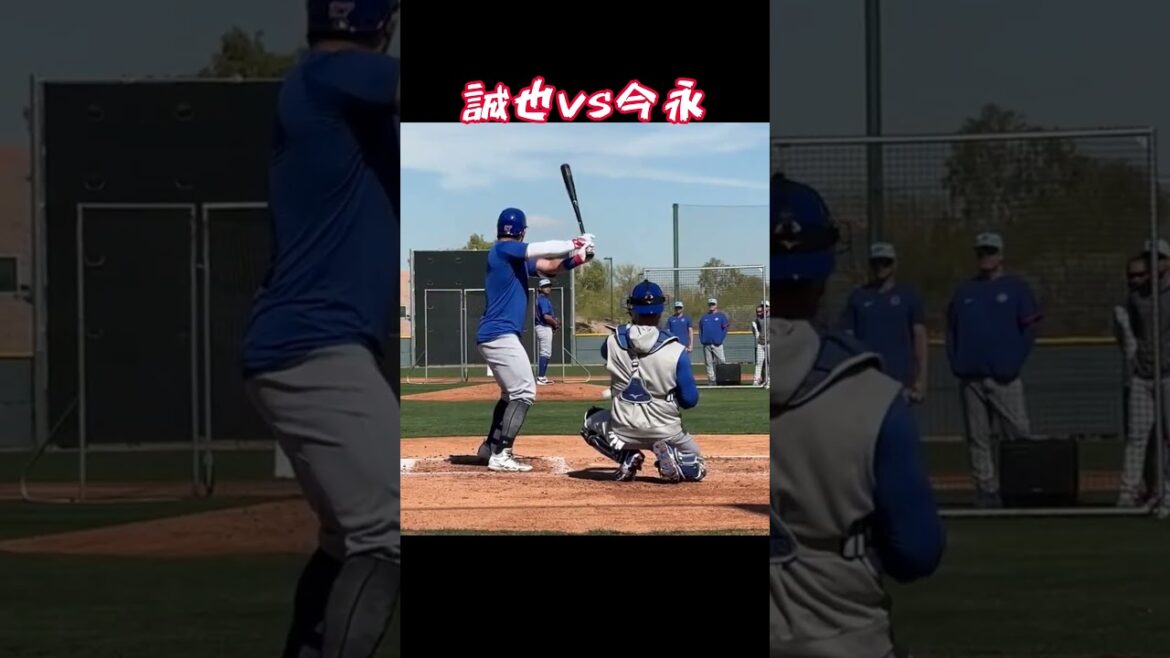 Seiya vs Imanaga! #Professional Baseball #Samurai Japan #Baseball Stories #Seiya Suzuki #Shota Imanaga