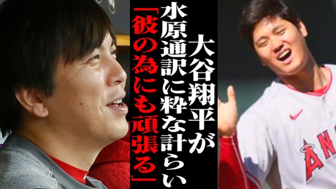 Shohei Otani's smart plan for Ippei Mizuhara is praised all over the world!  ![Overseas reaction/Major League/MLB]