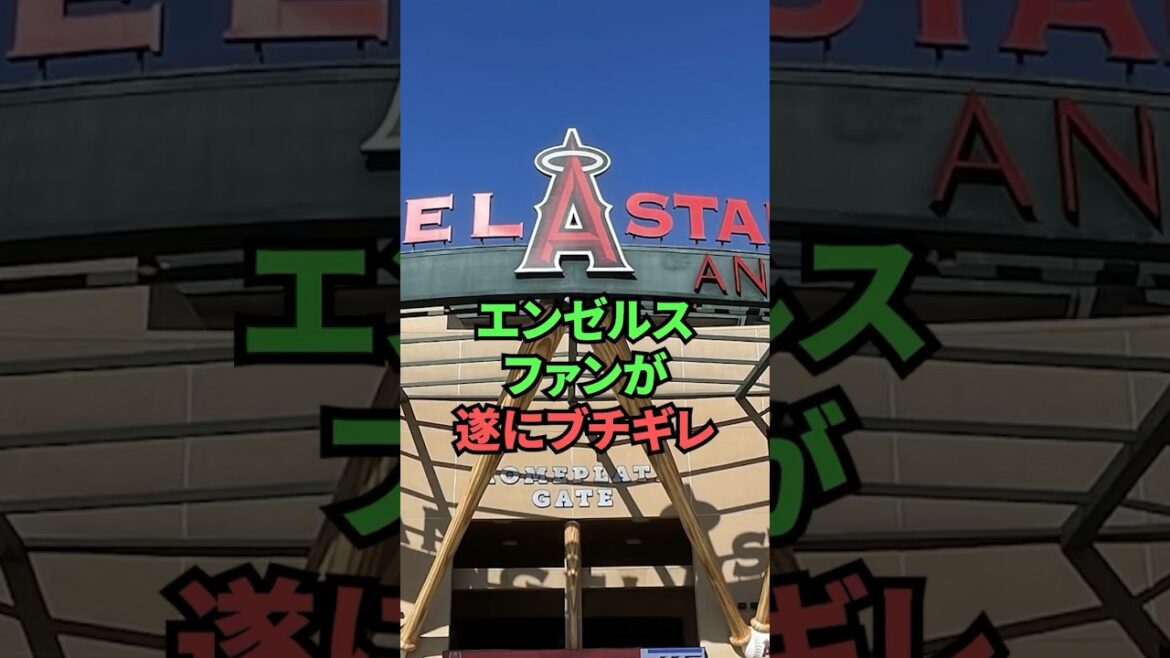 Angels fans are finally pissed Angels fans are finally pissed