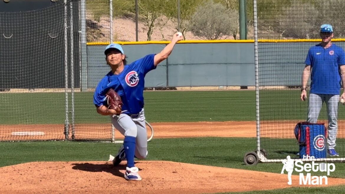 Shota Imanaga vs.  Seiya Suzuki at Cubs Spring Training