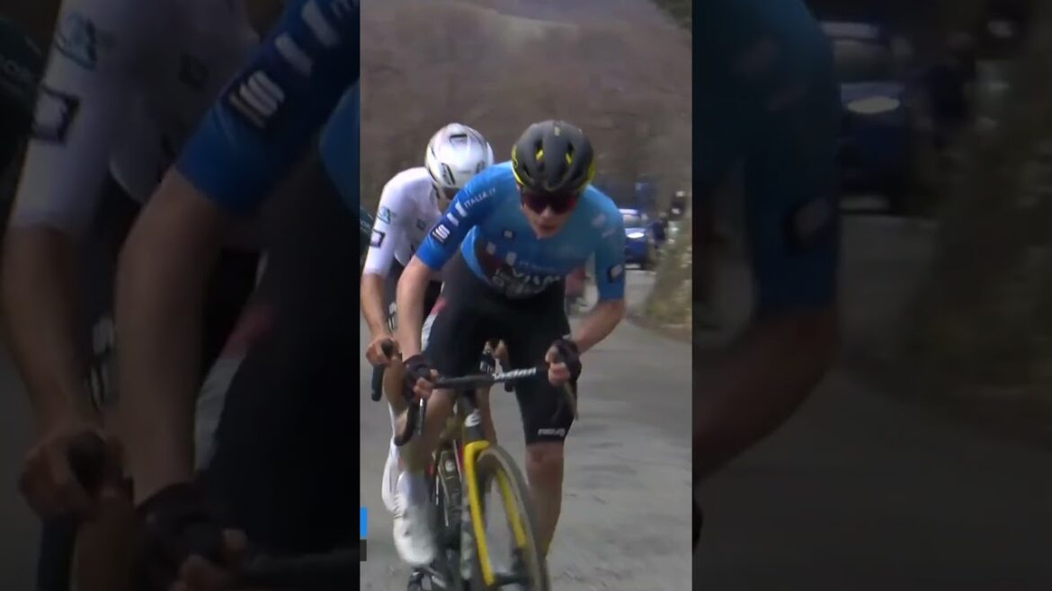 “He is not going to stop” #roadcycling #tirrenoadriatico "He is not going to stop" #roadcycling #tirrenoadriatico