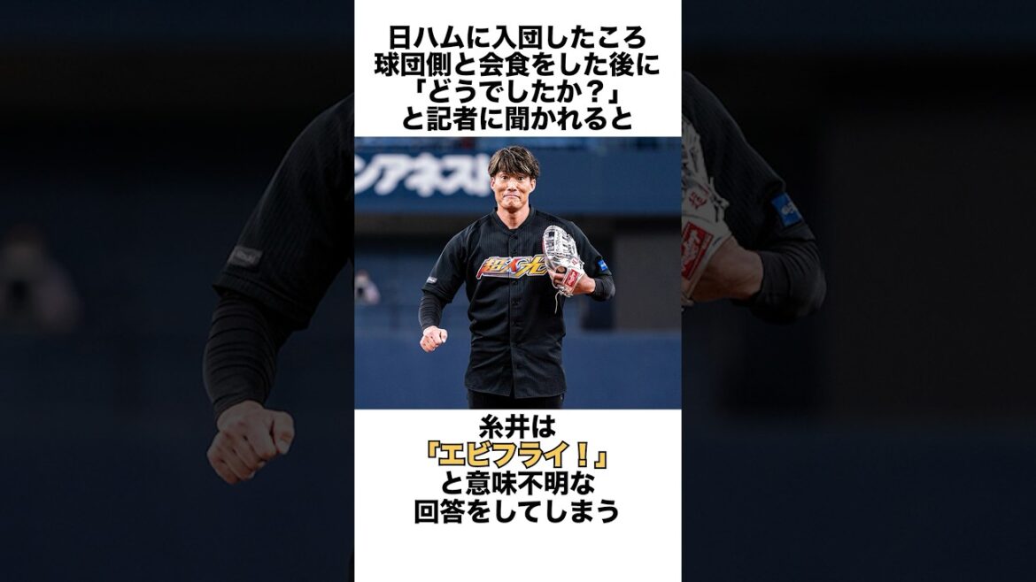 5 natural episodes of Yoshio Itoi