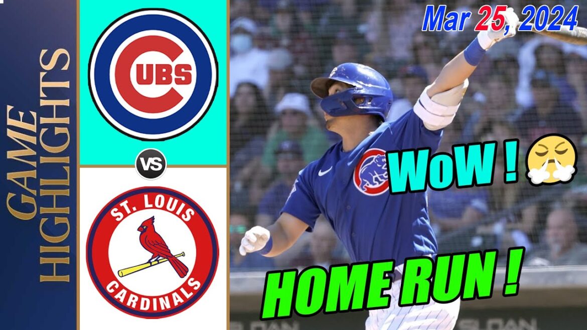 Cubs vs Cardinals [Seiya Suzuki Home Run !] Spring Training (03/25/2024) | MLB Highlights