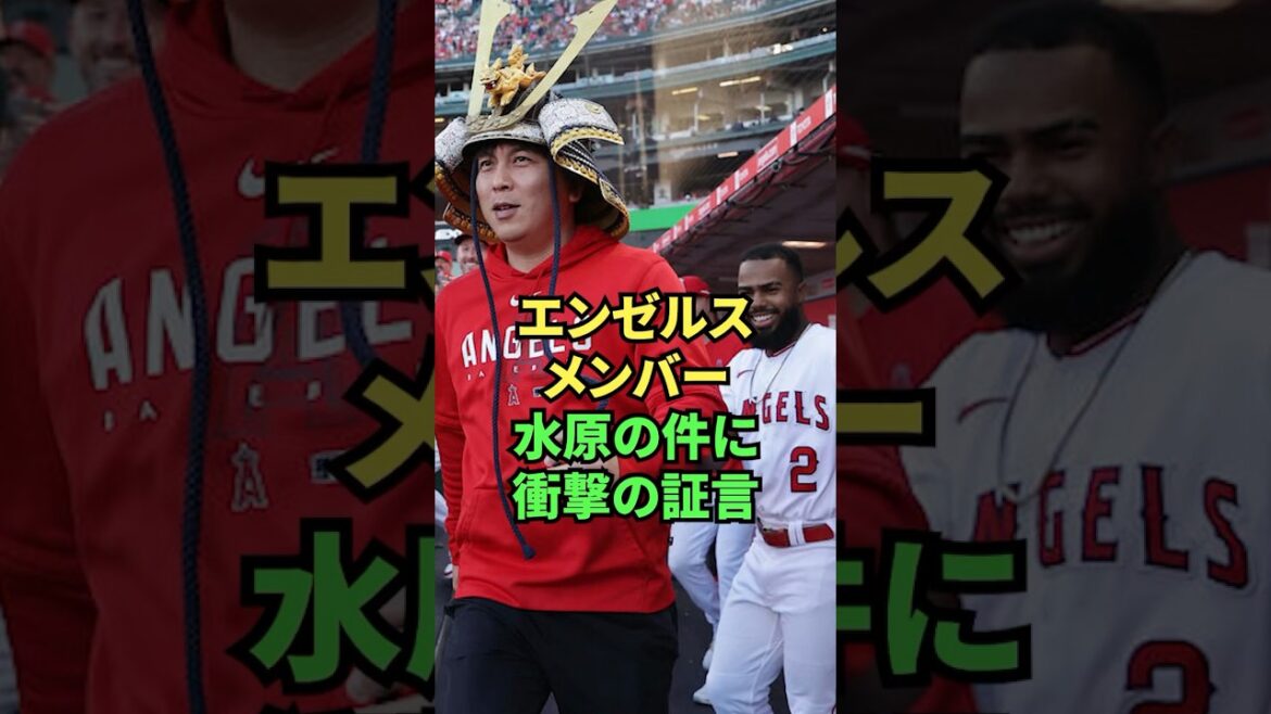 Angels members make shocking statements regarding the Mizuwon incident