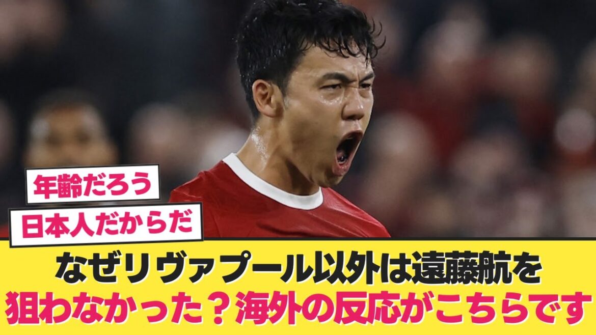 [Overseas reaction]Why didn't anyone other than Liverpool target Wataru Endo? Here are the reactions from overseas[Japan National Team Soccer][Wataru Endo Liverpool]