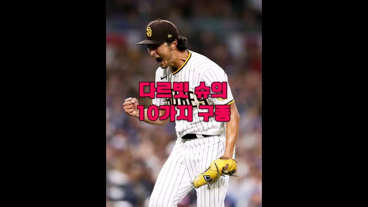 Darbit Shoe's 10 pitches