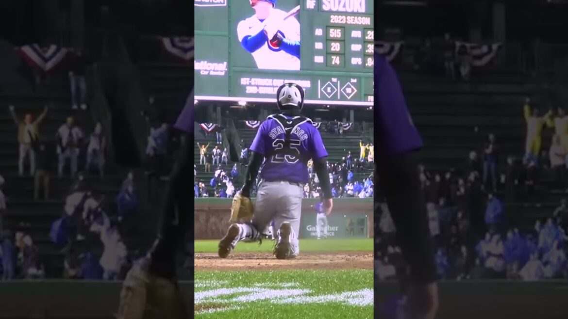 This view of Seiya Suzuki’s home run! 🤯