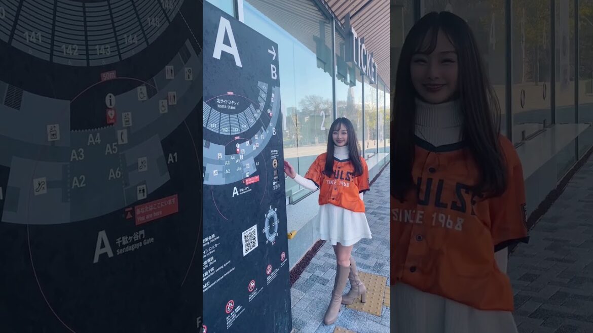 Where is it 🏟 #Shimizu #Soccer #J1 promotion #S-Pulse #Chant #Supporter #Revival #Gonda #Inui #Carrinhos #Yamahara #Hara #Nishizawa #Kitagawa #Matsuzaki #Nakamura #Hasugawa #Sumiyoshi