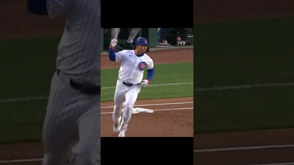 Seiya Suzuki has started THIS season on the right foot. #mlb #baseball #baseballplayer #shorts Seiya Suzuki has started THIS season on the right foot. #mlb #baseball #baseballplayer #shorts