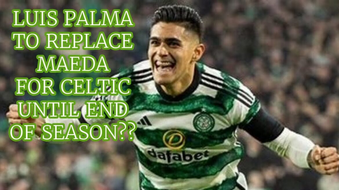 Celtic News: Will The Real Luis Palma Please Stand Up Please Stand Up Please Stand Up(Sorry Eminem) Celtic News: Will The Real Luis Palma Please Stand Up Please Stand Up Please Stand Up(Sorry Eminem)
