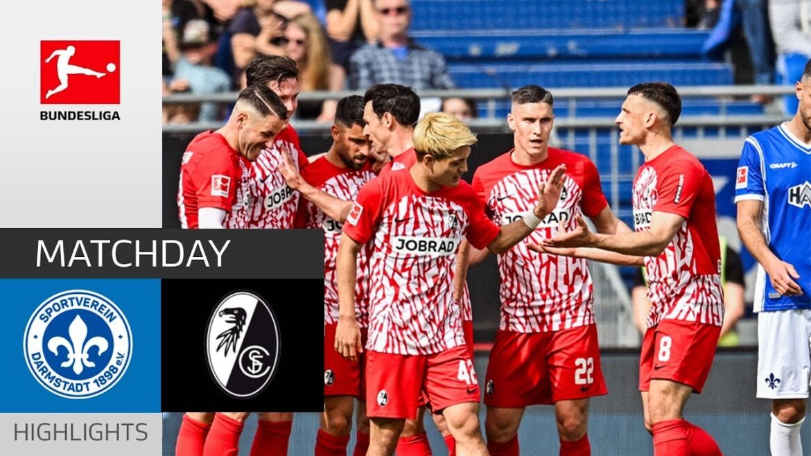 Ritsu Doan Goal | Darmstadt vs Freiburg 0-1 Highlights | Bundesliga 2023/24