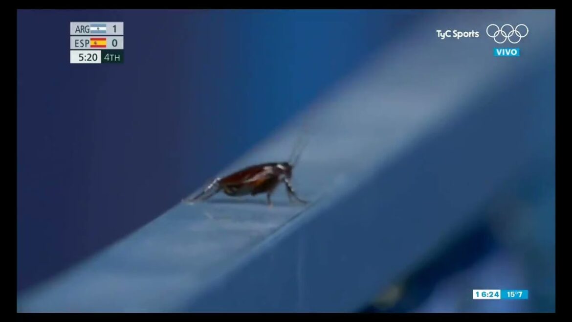 Cameraman records Cockroach during womenโs hockey game | Hilarious ๐๐๐ | Tokyo Olympics Cameraman records Cockroach during womenโs hockey game | Hilarious ๐๐๐ | Tokyo Olympics