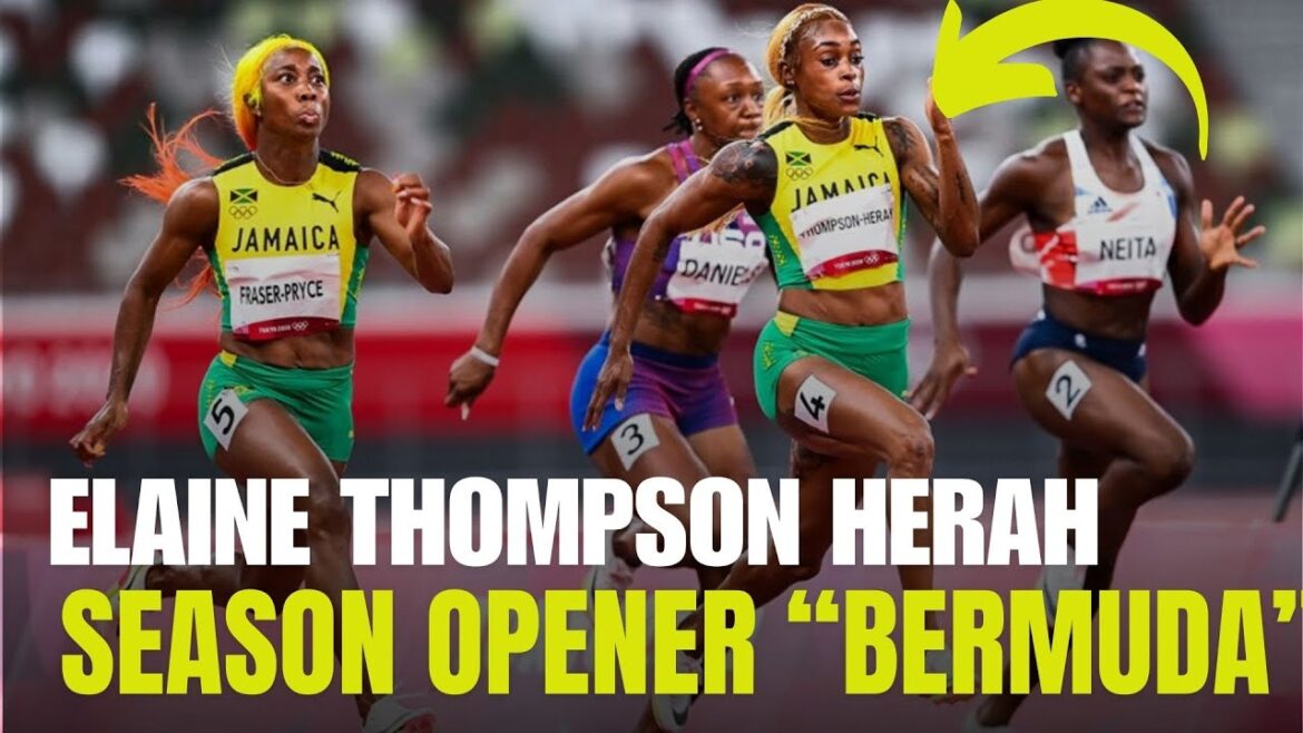 Watch: Elaine Thompson-Herah go for Olympic History at USATF Bermuda Grand Prix 2024 Season Opener Watch: Elaine Thompson-Herah go for Olympic History at USATF Bermuda Grand Prix 2024 Season Opener