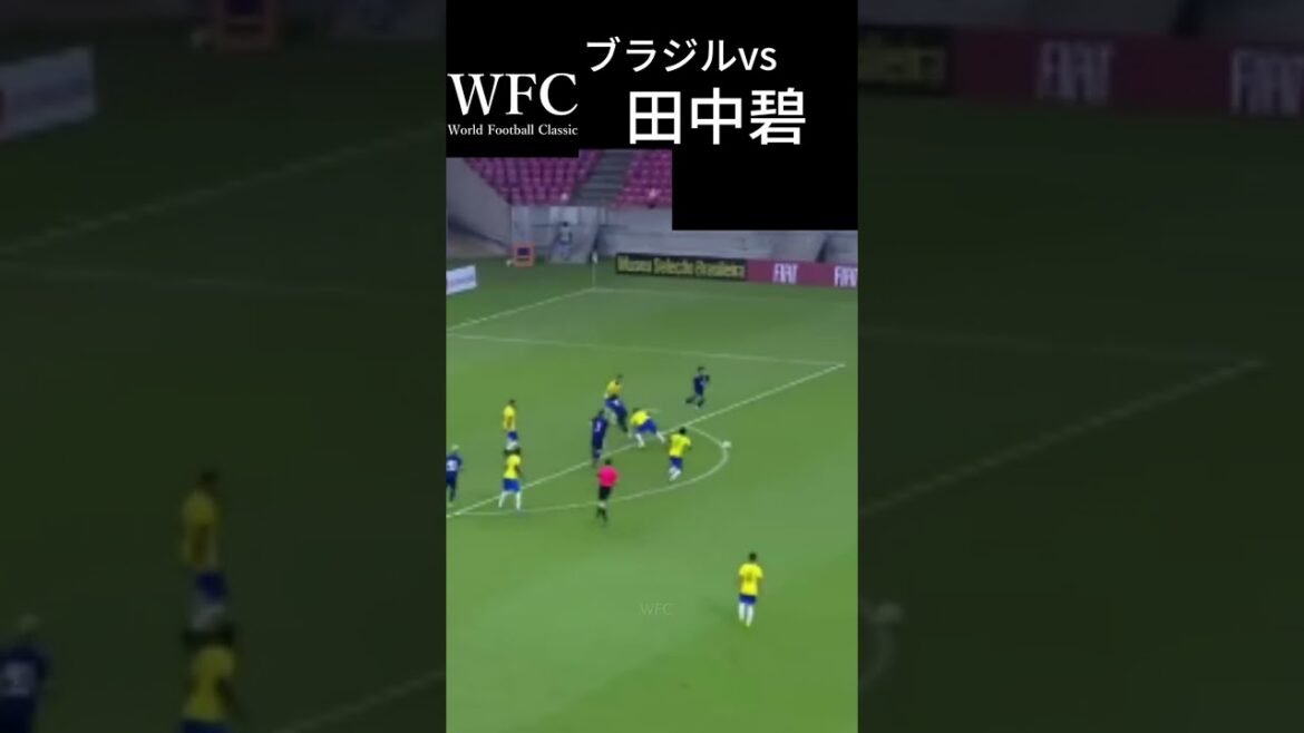 Brazil vs Aoi Tanaka