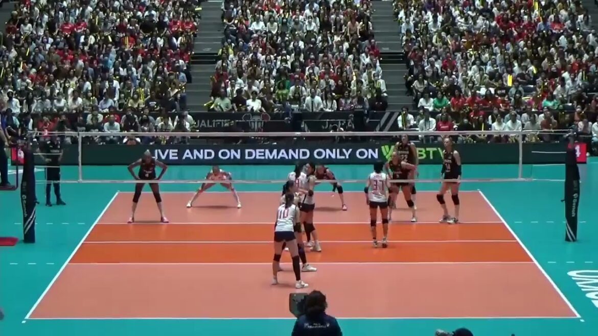 Volleyball Turkey Cansu Özbay setting Turkey Volleyball vs Japan Volleyball Turkey Cansu Özbay setting Turkey Volleyball vs Japan