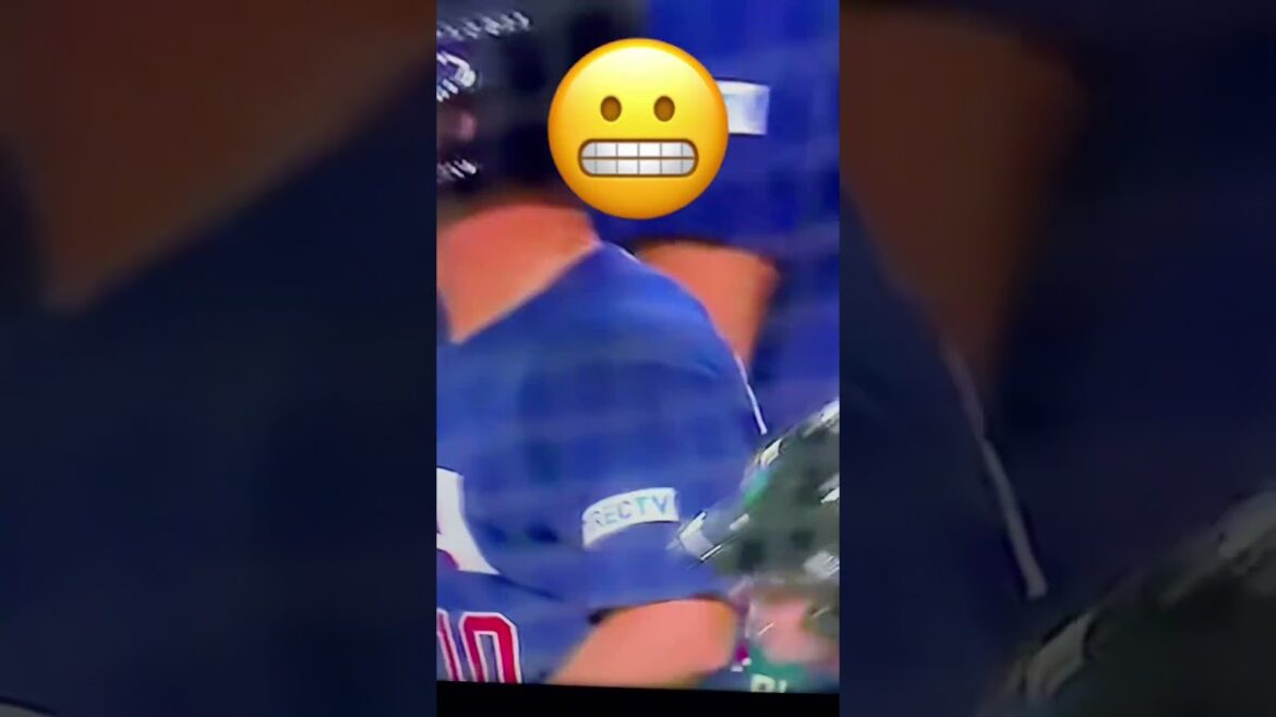 Fan drops phone reaching for a DINGER!! #worldbaseballclassic #wbc #shorts #mlb