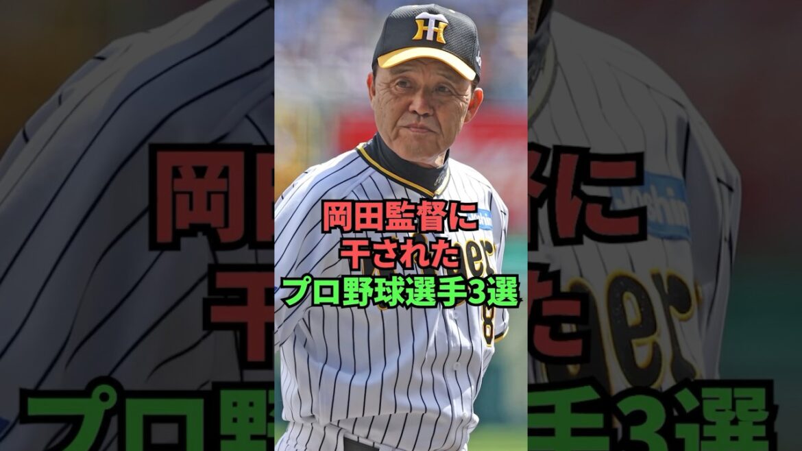 3 professional baseball players who were left out by manager Okada