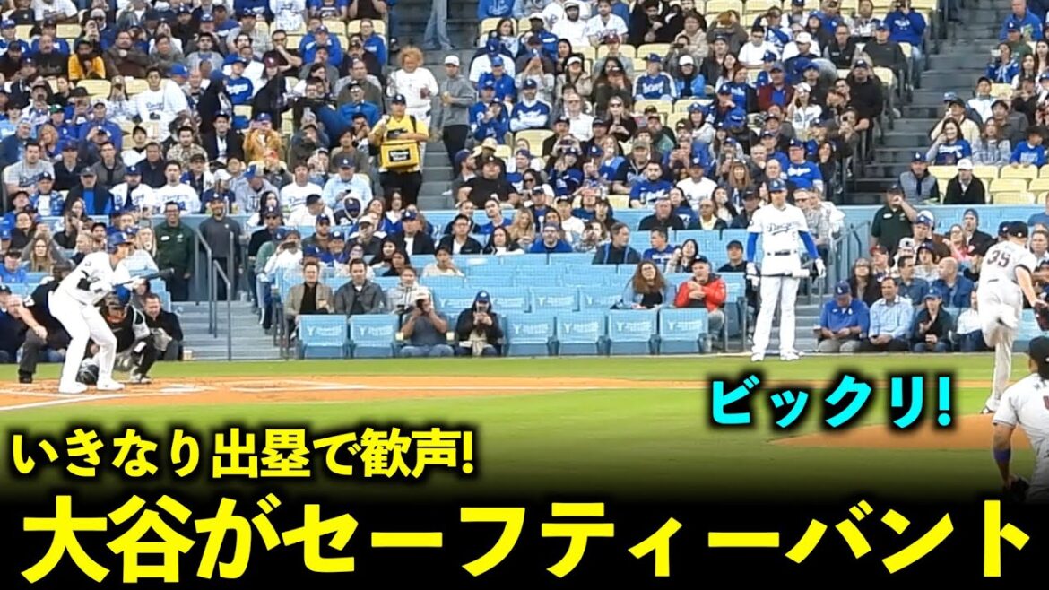 Everyone was surprised! Shohei Ohtani suddenly made a successful safety bunt and cheered![Local video]Dodgers vs Diamondbacks Game 1 on May 21st