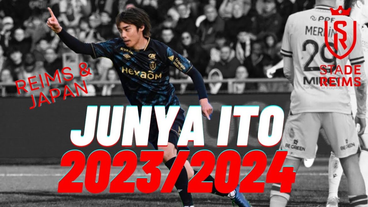 Junya THIS, Best-of 2023/2024 Junya THIS, Best-of 2023/2024
