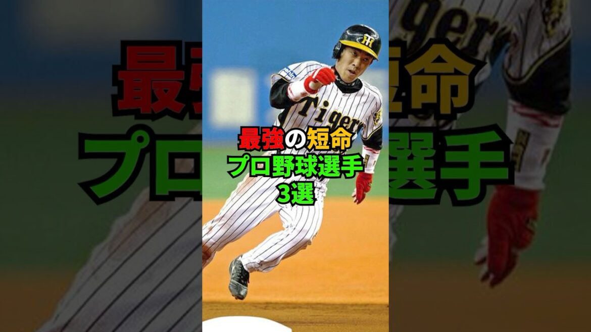 The 3 Best Short-Lived Professional Baseball Players