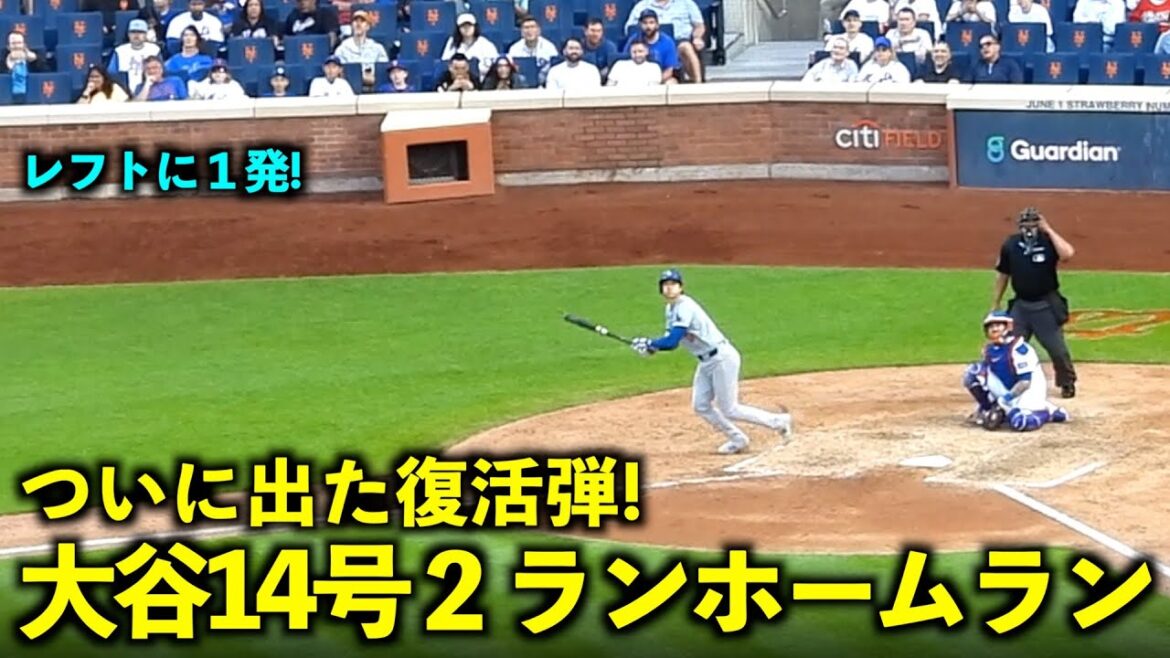 Finally, a comeback hit! Shohei Ohtani's 14th 2-run home run is amazing! May 30th Dodgers vs Mets Game 3