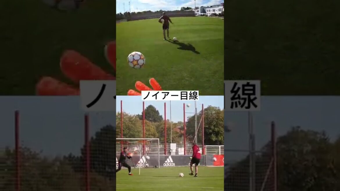 [From Neuer's perspective]If you put a camera on Neuer...