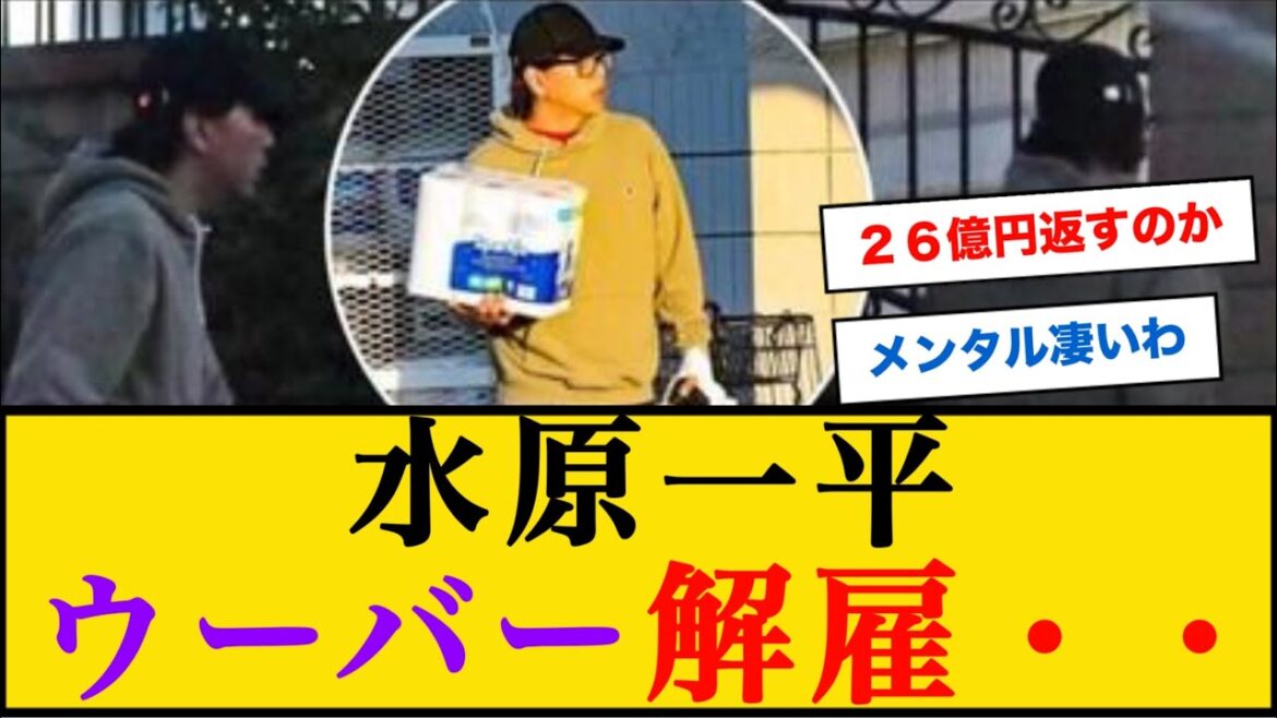 [Sad news]Ippei Mizuhara fired from Uber... #shohei ohtani #mlb rumors #Ippei Mizuhara