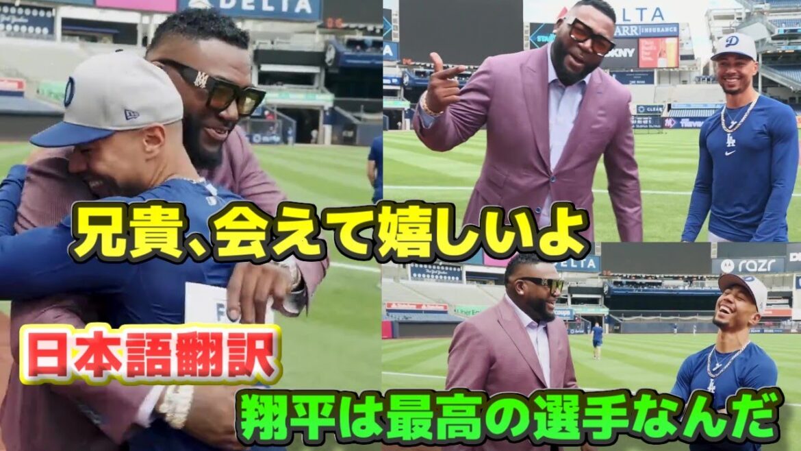 Big Papi and Betts Shohei Ohtani is the best player. I’m happy to meet my brother. The game at Yankee Stadium is special. Japanese translation subtitles included. Big Papi and Betts Shohei Ohtani is the best player. I'm happy to meet my brother. The game at Yankee Stadium is special. Japanese translation subtitles included.