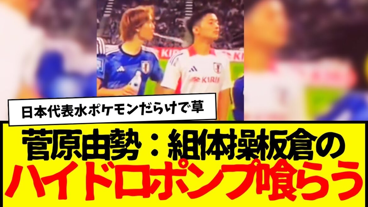 It turns out that Ko Itakura was also a Pokemon lol. Sugawara is funny. They really get along well. It turns out that Ko Itakura was also a Pokemon lol. Sugawara is funny. They really get along well.