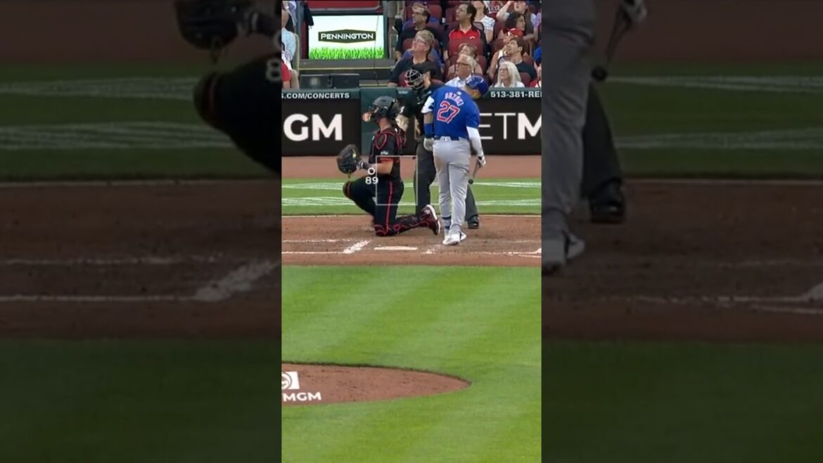 Seiya Suzuki INJURED AGAIN!