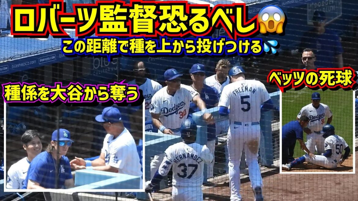 Shocking! ️ Coach Roberts, who took the starting role from Ohtani, is in trouble 😱 Betts is hit by a pitch and breaks his leg 😢[Local video]6/16 vs. Shohei Ohtani Dodgers