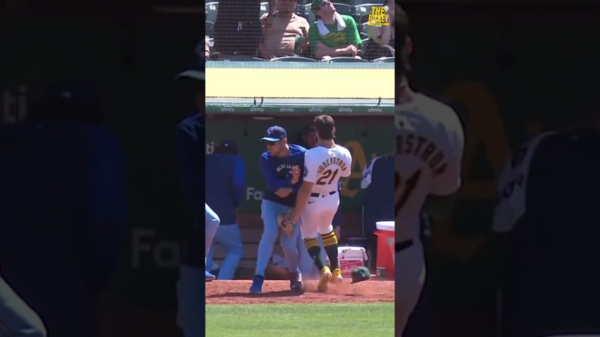 Only at the Oakland Coliseum 😭 #shorts #mlb #oaklandathletics #yuseikikuchi #bluejays