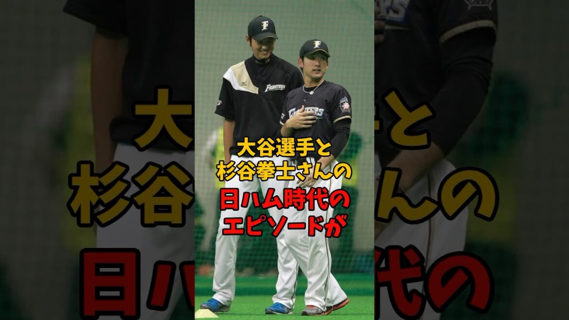Shohei Otani and Kenji Sugiya's stories from their time with the Nippon Ham Fighters