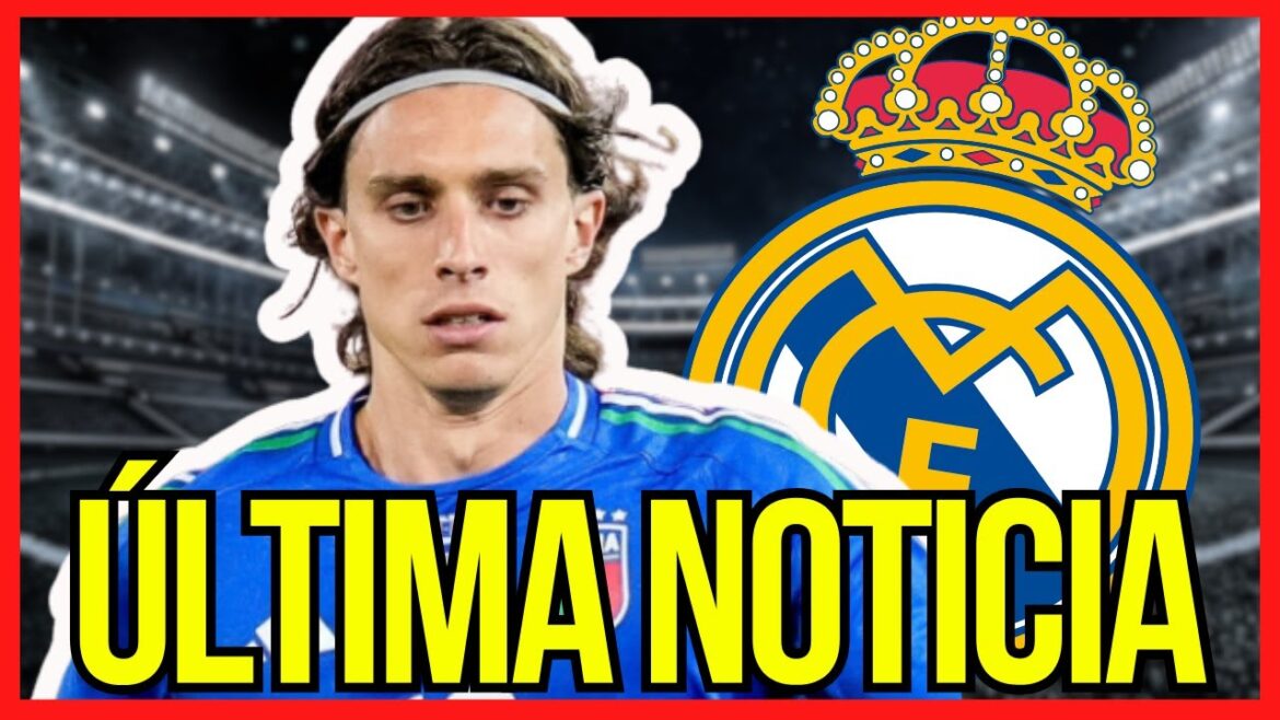 🔴 BOMB SIGNING IN REAL MADRID CF! – CALAFIORI IS THE ONE TARGETTED BY THESE MILLIONS – NEWS TODAY 🔴 BOMB SIGNING IN REAL MADRID CF! - CALAFIORI IS THE ONE TARGETTED BY THESE MILLIONS - NEWS TODAY