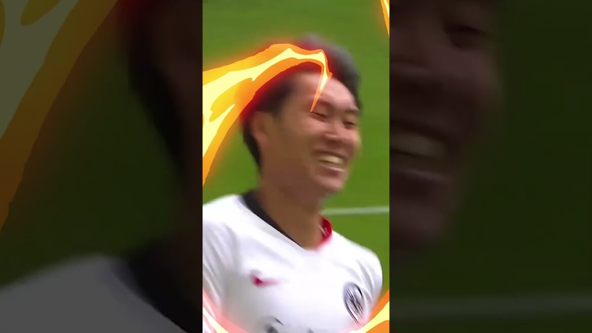 What to expect from Daichi 👀 High expectations for Daichi #crystalpalace #premierleague #japan