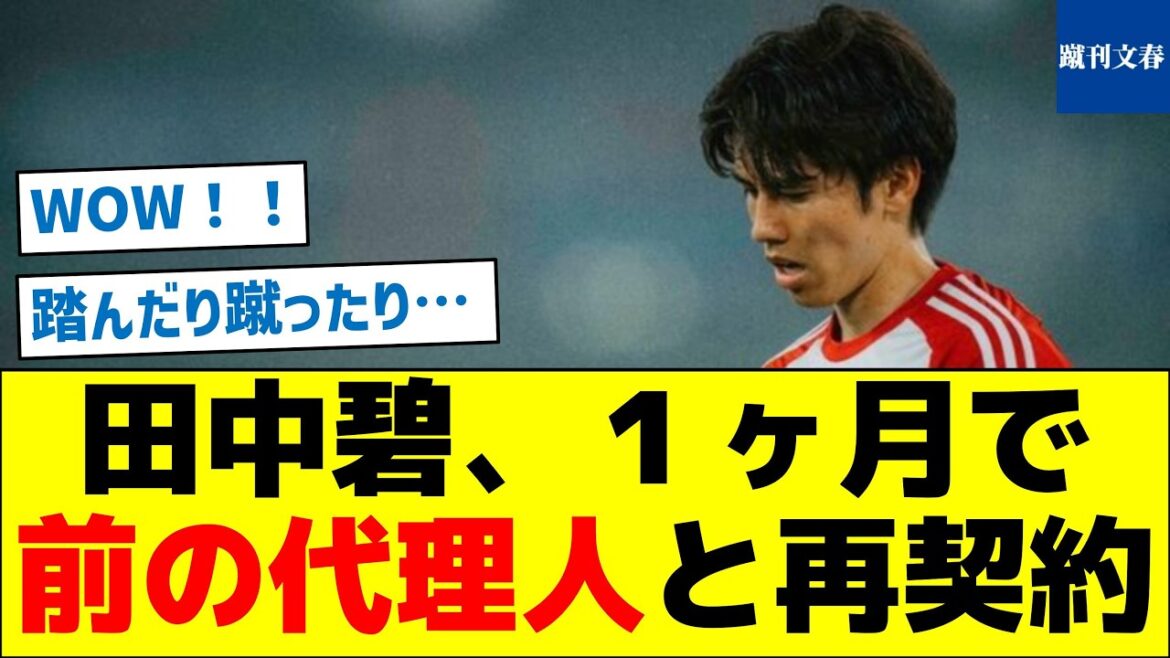 [Kicked and trampled]Aoi Tanaka re-signs with his former agent after just one month