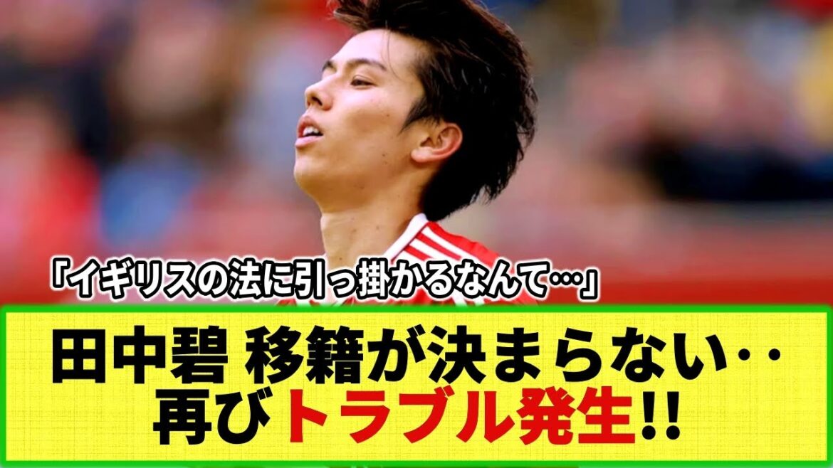 [Internet Reactions]Trouble for Aoi Tanaka again?! Change of agent, transfer moves forward...