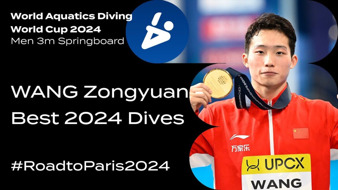 The Unbeatable WANG Zongyuan in 3m Springboard 🥇 | Diving