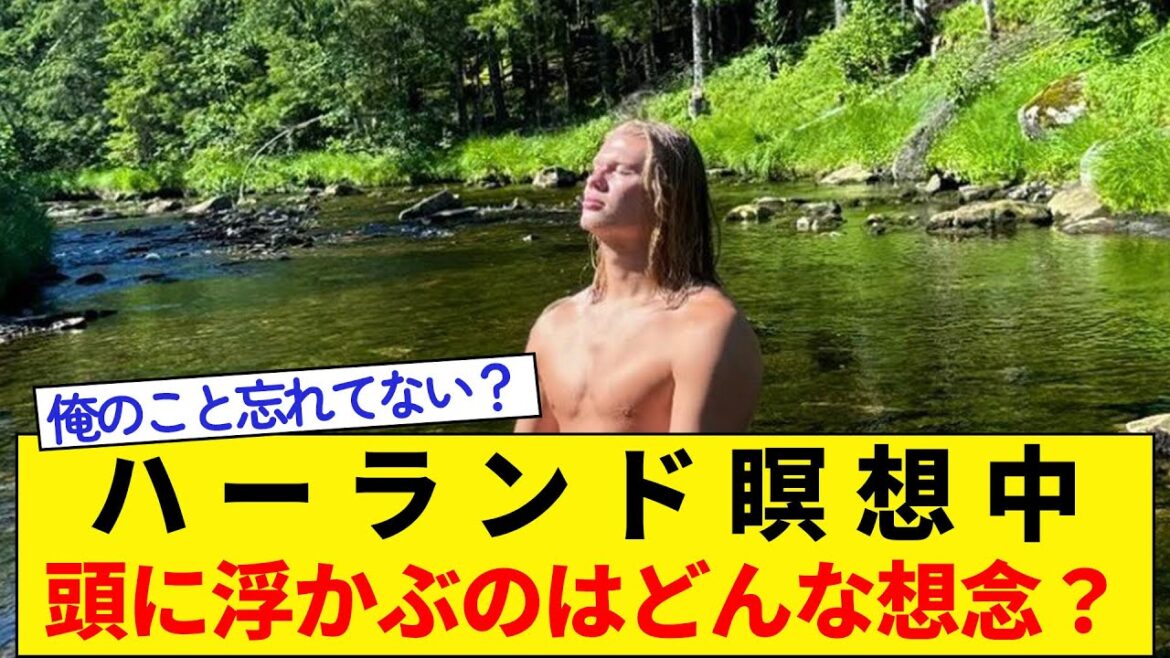 During Harland meditation ★ What thoughts go through your mind? During Harland meditation ★ What thoughts go through your mind?