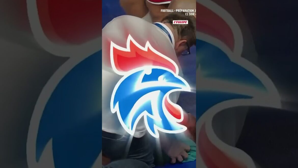 😲😲 Nikola Karabatic received a blow against Croatia in a preparation match for the Olympics! #handball #jo