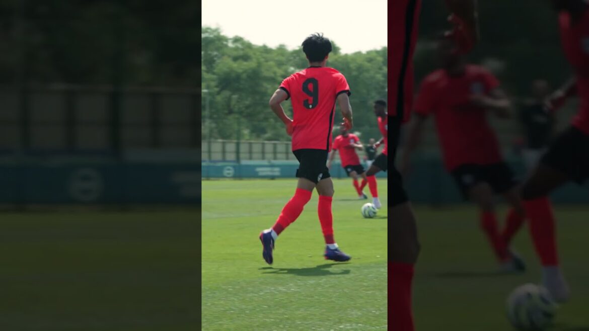 Mitoma Is BACK! 🇯🇵 #kaorumitoma #japan #mitoma #brightonandhovealbion Mitoma Is BACK! 🇯🇵 #kaorumitoma #japan #mitoma #brightonandhovealbion