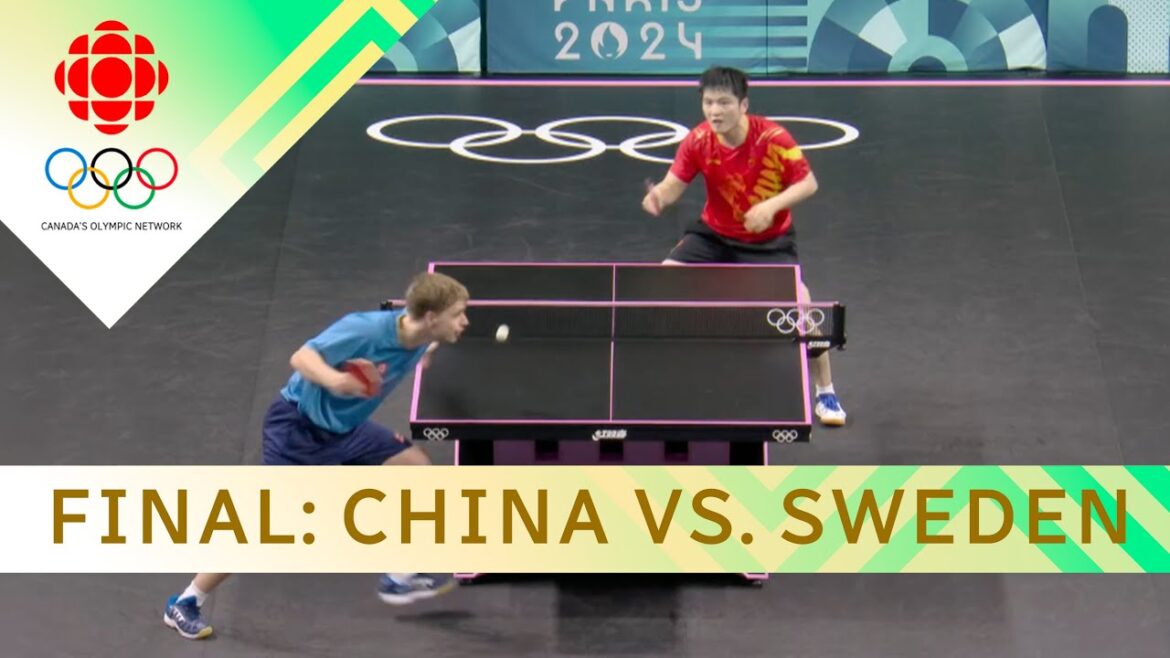 INSANE moments from Zhendong Fan's table tennis gold medal victory | #paris2024