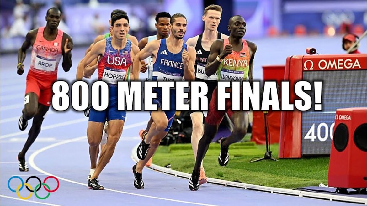 Men’s 800 Meter Finals WERE INSANE! || 2024 Paris Olympics Men's 800 Meter Finals WERE INSANE! || 2024 Paris Olympics